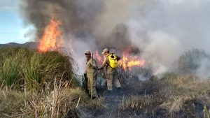 Corpo de bombeiros na manhã desta segunda-feira (4)