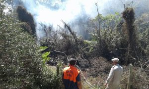 Corpo de bombeiros e defesa civil no foco de incêndio atrás da ETE de Búzios