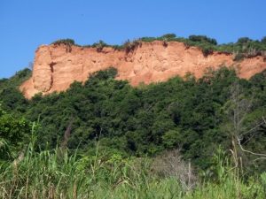 A falésia vista de quem passa pela RJ102 (estrada da praia Rasa)