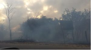 Chama atenção os focos de incêndios serem sempre em áreas de grande pressão do setor imobiliário