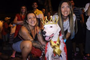 categoria Mister Dog Grande Porte - Lord Búzios