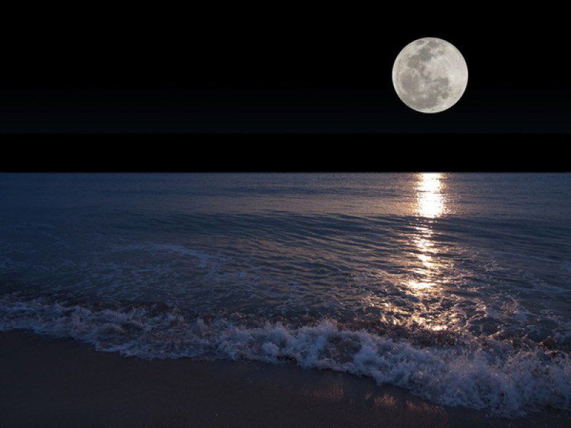 Lua Cheia na Praia Brava Sylk Beach