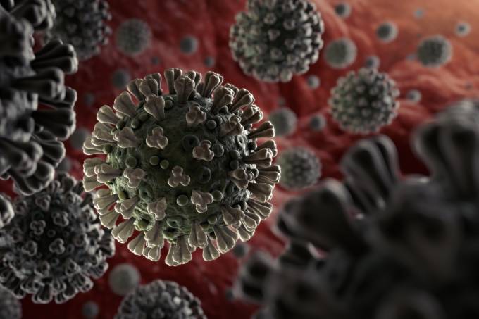 Ilustração microscópica do vírus. Imagem: Reprodução | Getty Images