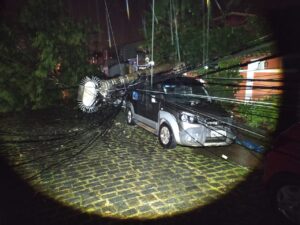 Queda de árvore derruba poste e atinge um carro em Búzios