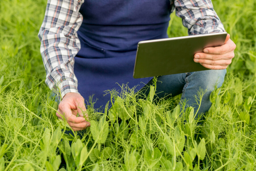 Pesquisa aponta aumento da digitalização do agronegócio