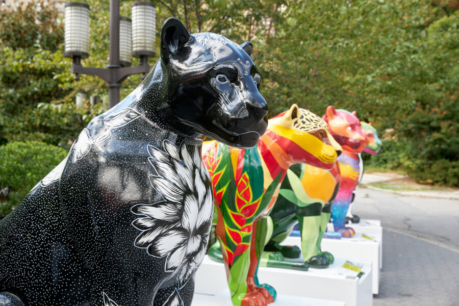 Jaguar Parade RIO inicia pinturas ao vivo no Rio de Janeiro