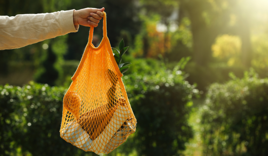 Estudo revela tendências de consumo sustentável