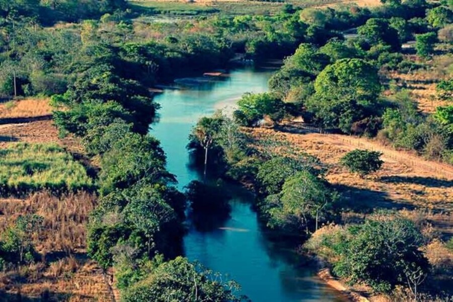 Dia do Cerrado é comemorado em 11 de setembro