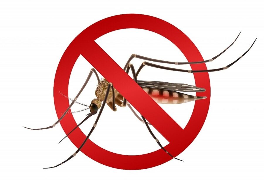 Ministério da Saúde reforça combate à dengue em São Paulo
