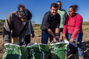 Colheita de feijão em Macaé deve alcançar 50 toneladas em 2025, maior resultado da década
