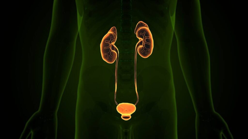 Tecnologia transforma tratamentos na urologia moderna