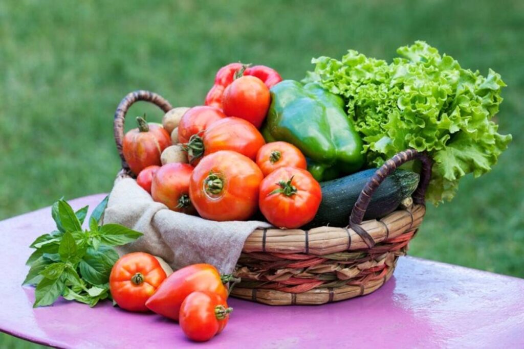 Orgânicos ganham destaque com a chegada da primavera