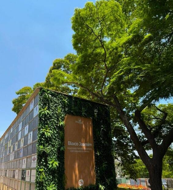 Grupo Maya promove acolhimento no Dia de Finados