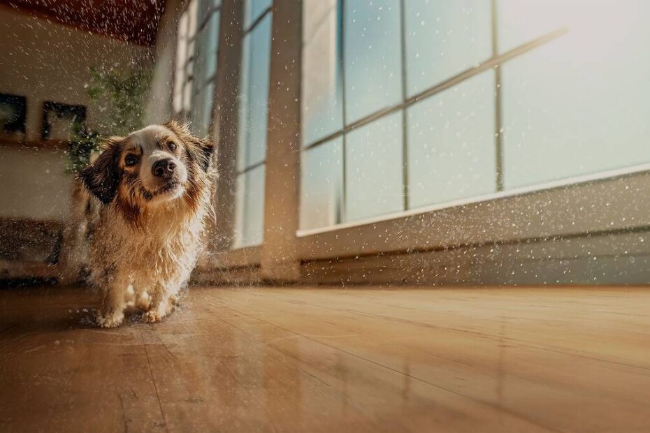 Pisos laminados Eucafloor agora têm resistência total à água