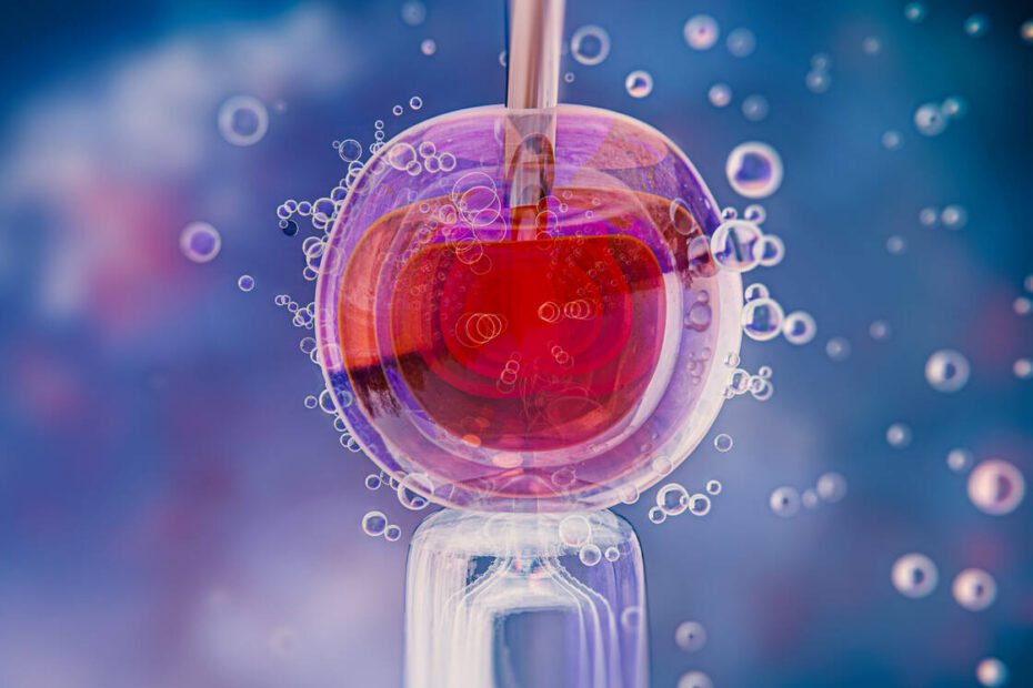 Pacientes recorrem ao uso do FGTS para custear FIV