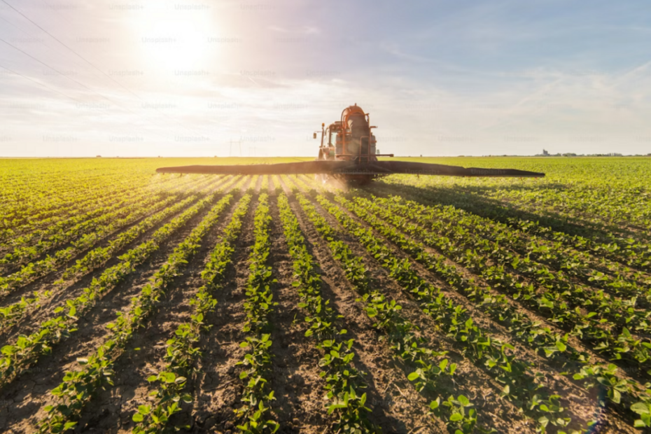 Derivados de potássio entregam eficiência e escala ao agro