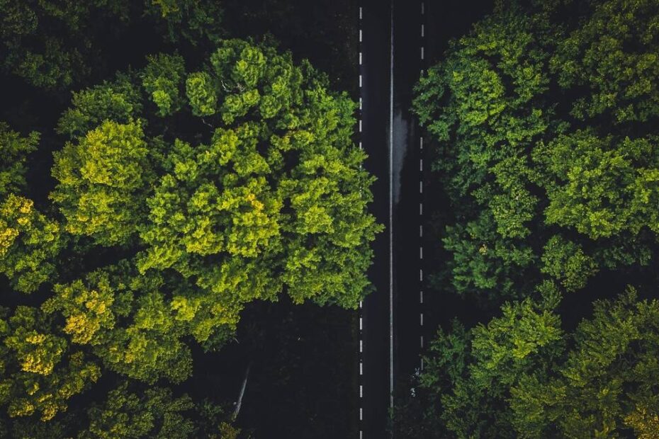 Empresas se adaptam às novas exigências de sustentabilidade