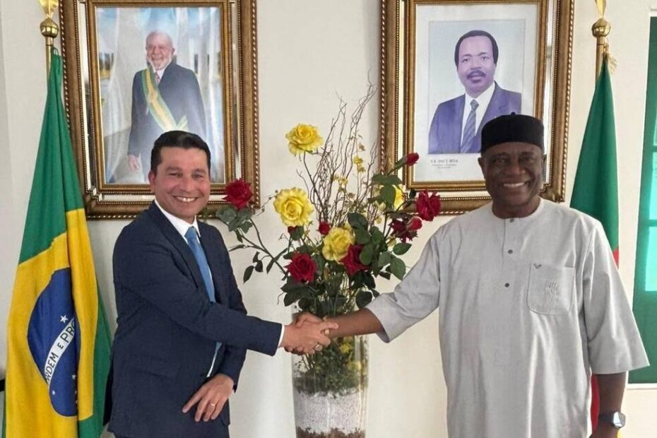 Produto brasileiro ganha apoio internacional contra malária