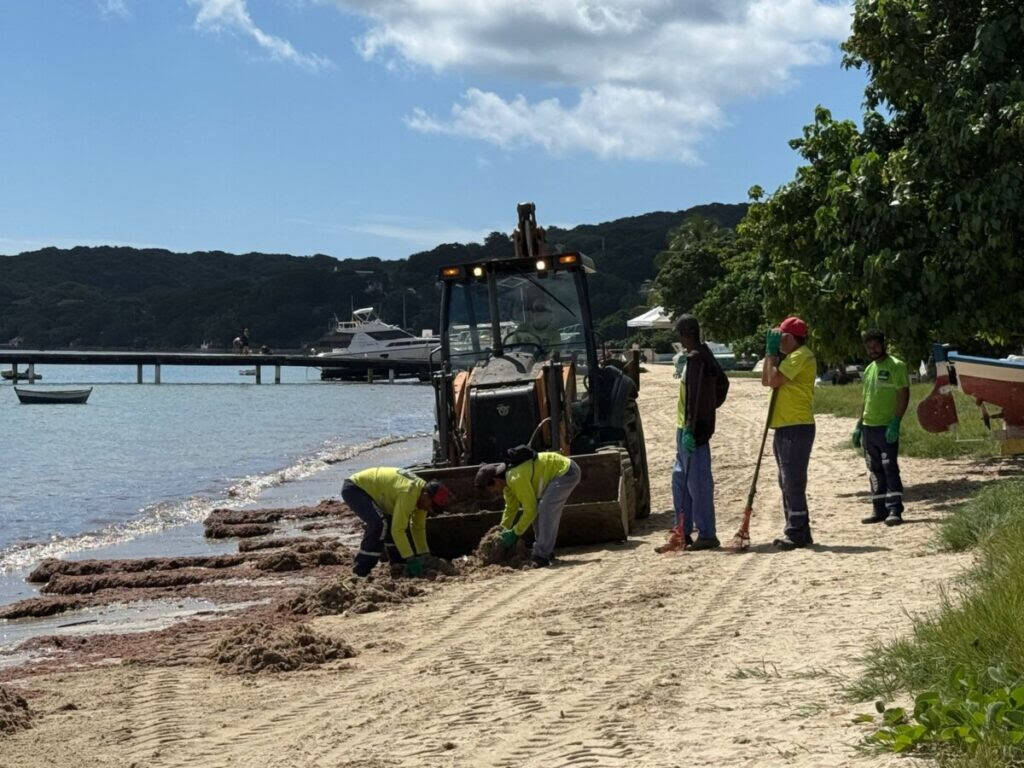 Prefeitura de Búzios realiza mutirão para retirada de algas na Praia de Manguinhos e melhora condições da faixa de areia / foto divulgação