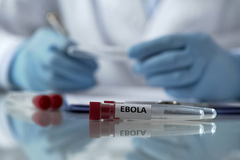 OMS declara emergência internacional por surto de ebola
