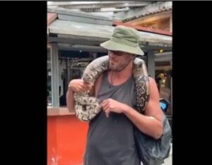Homem percorre ruas de Búzios com jiboia no pescoço após resgatar animal de possível atropelamento