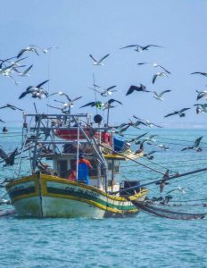 Regras do Auxílio Defeso podem dificultar acesso de pescadores artesanais em Búzios, alerta Colônia Z-23