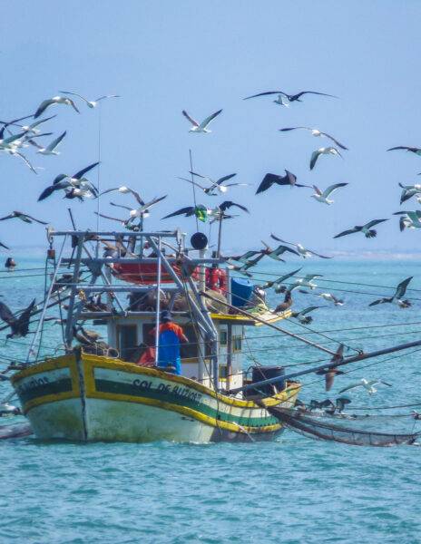Pescadores artesanais de Búzios questionam exigências para receber o Auxílio Defeso da Sardinha.