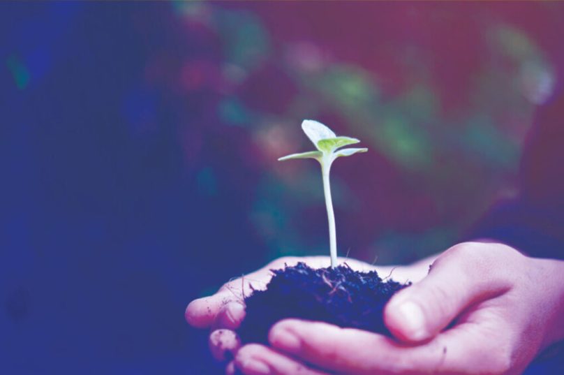 Cirion lança seu segundo Relatório de Sustentabilidade