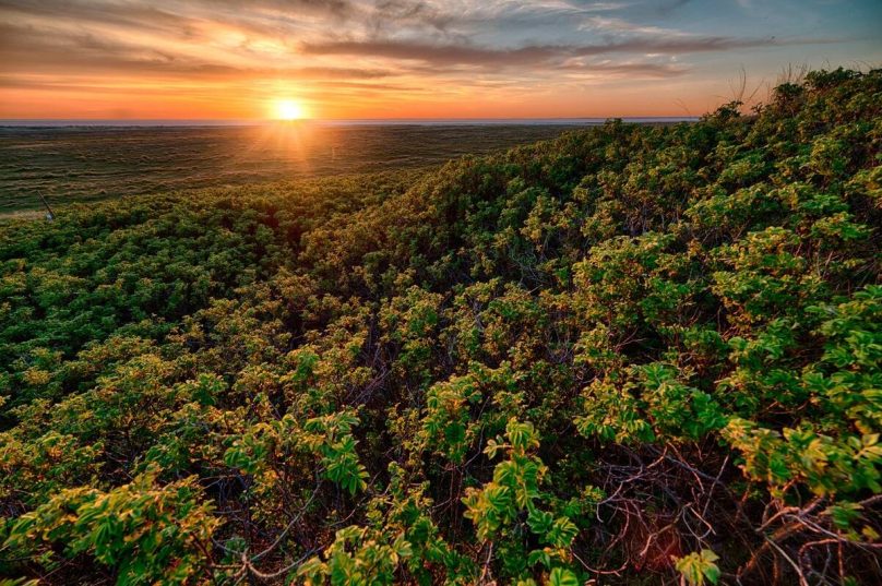 Ecora abre consulta pública na área de créditos de carbono