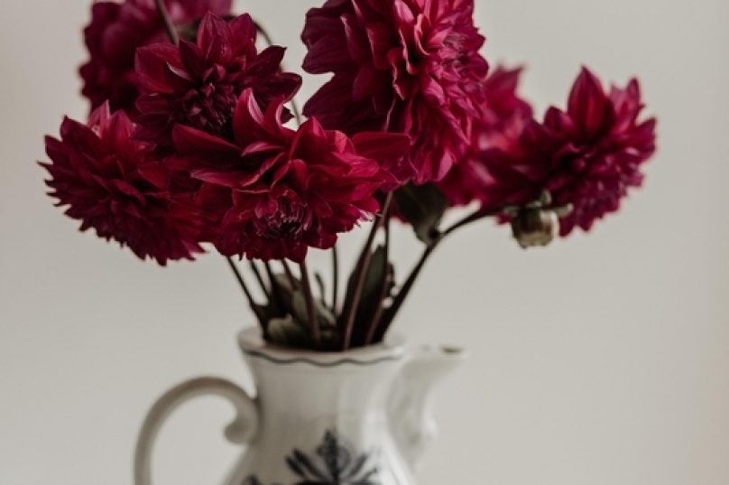 Com alta de espaços compactos, flores se tornam opções de decoração