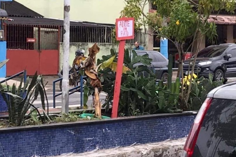macaé rato