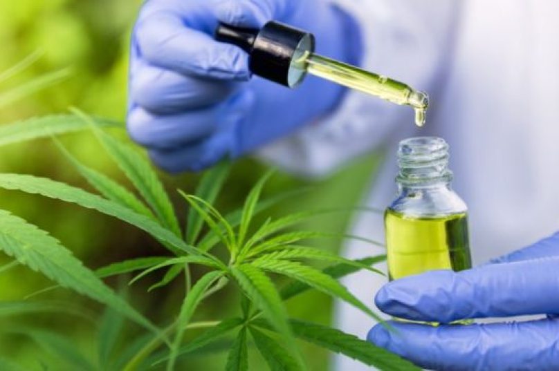 A cidade é a primeira do Brasil a dar esse passo e ainda pretende incluir a cannabis medicinal na Relação Municipal de Medicamentos Essenciais (Remume). Foto: Reprodução I BBC