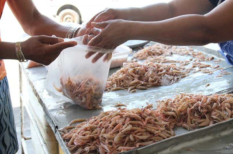 Defeso de Macaé inicia no mês de março e segue até maio. Imagem: Prefeitura de Macaé | Reprodução