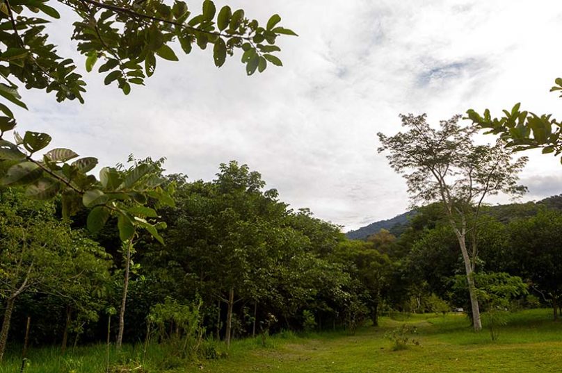 Parque Atalaia. Macaé/RJ. Data: 05/05/2017. Foto: Rui Porto Filho