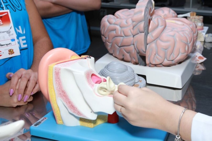 FACERES abre as portas para futuros médicos