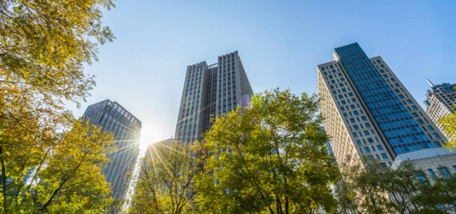 Grant Thornton orienta sobre adaptação ao IFRS S1 e S2