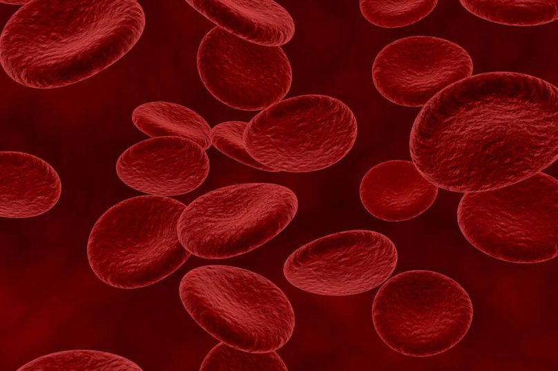 Mielodisplasia: doença silenciosa pode evoluir para leucemia