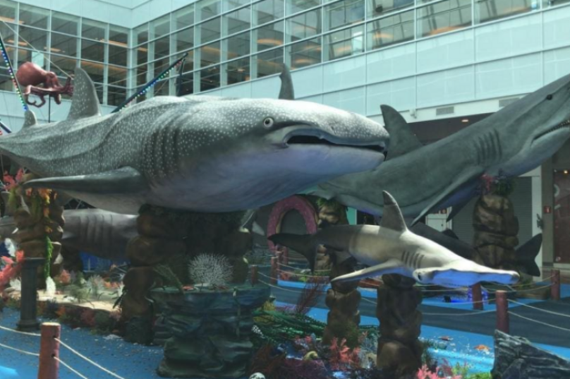 Exposições temáticas podem ser formas de aprender e se divertir