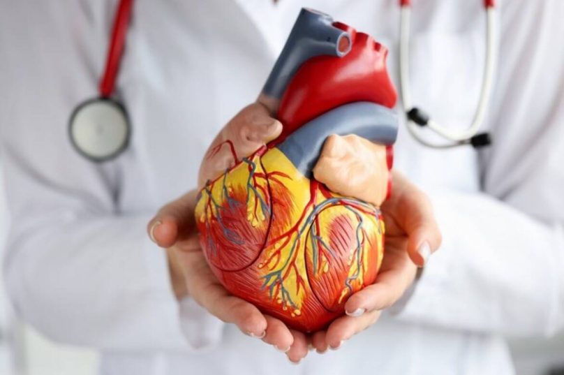 Doenças cardiovasculares lideram mortes no Brasil Doenças cardiovasculares lideram mortes no Brasil