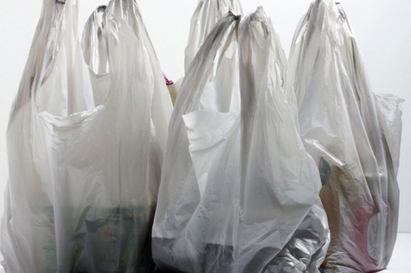 Imagem: Ética Ambiental | Reprodução