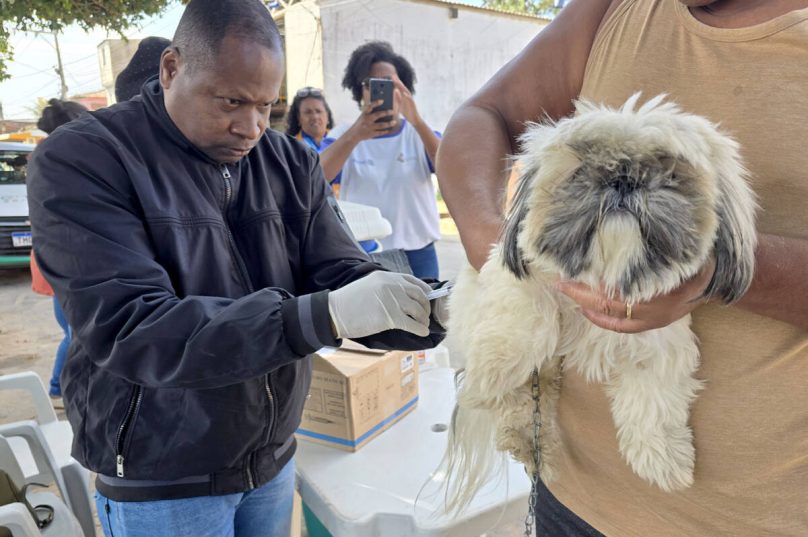Campanha antirrábica em Macaé vai até sexta com postos fixos e ações volantes para cães e gatos / foto Ana Chaffin