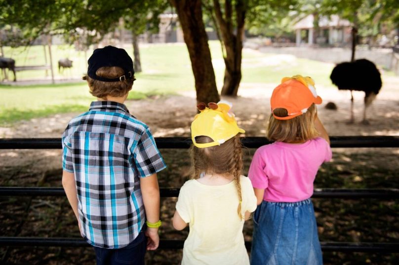 Recesso escolar exige adaptação para famílias de crianças com TEA