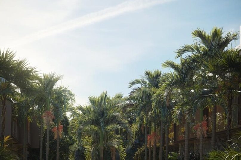 Refúgio urbano: paisagismo eleva o padrão de residenciais de luxo