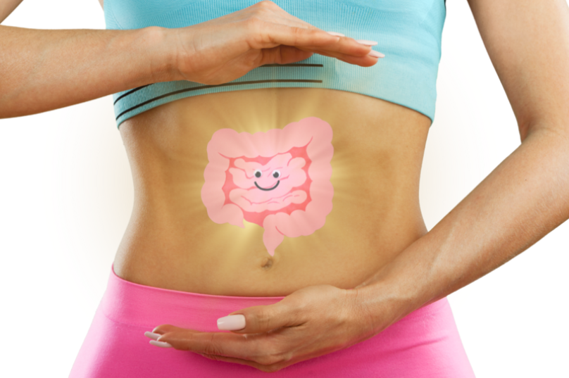 Modulação intestinal impulsiona resultados no emagrecimento