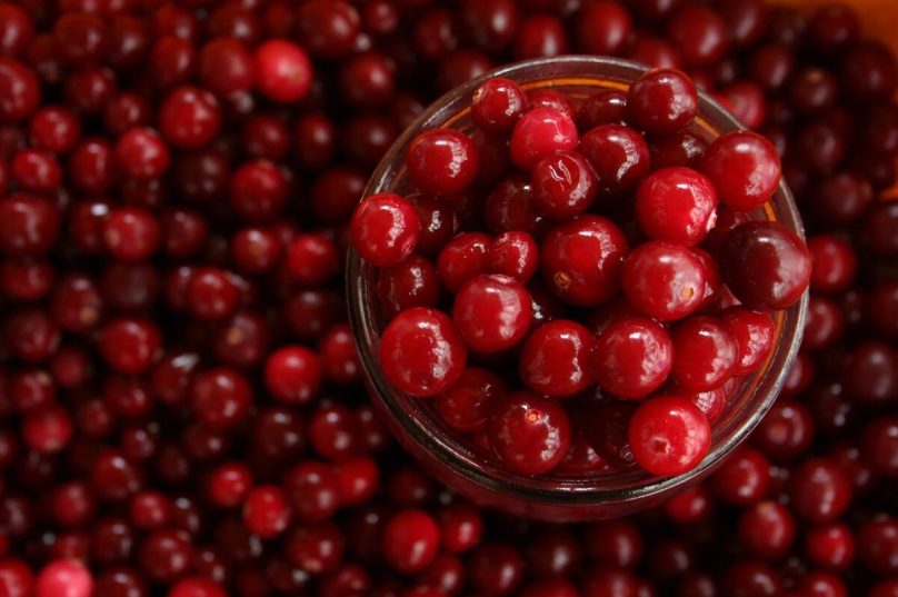 Cranberry ganha espaço como aliado na saúde
