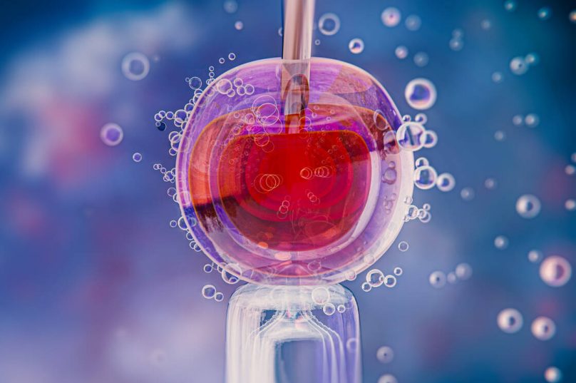 Pacientes recorrem ao uso do FGTS para custear FIV