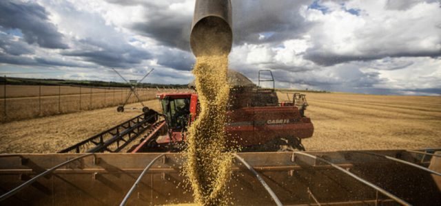 Falta de clareza na lei antidesmatamento europeia preocupa agroexportadores