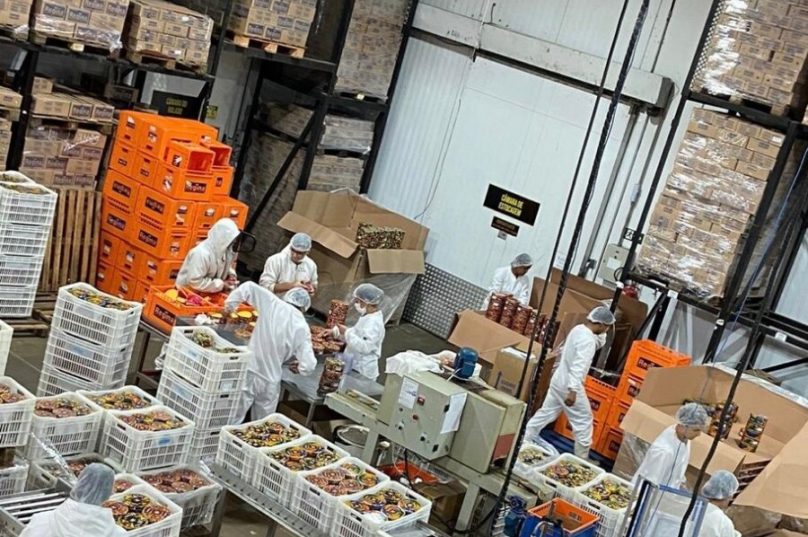 Queijos Regina aposta em crescimento de 20%