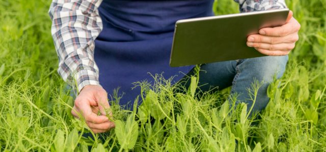 Pesquisa aponta aumento da digitalização do agronegócio