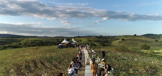 Projeto Algodão Paraíba reúne empresas em desfile de moda